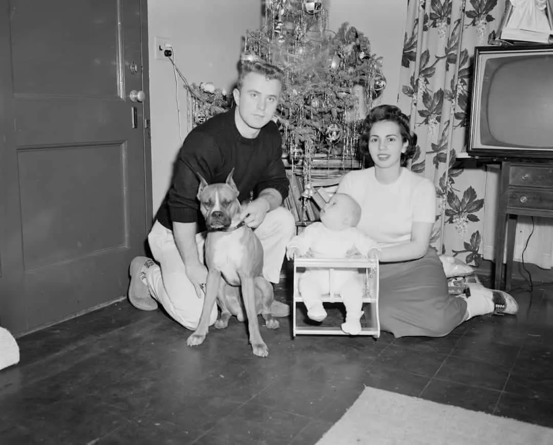 Photo Family portrait