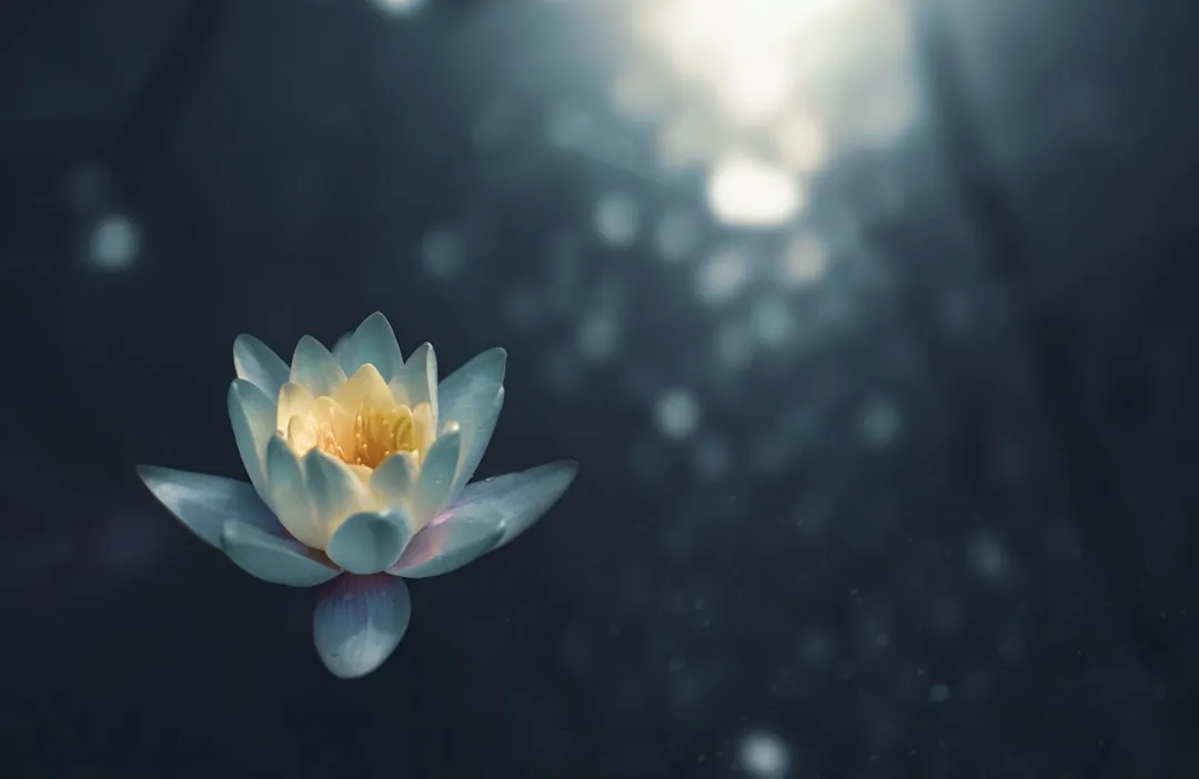Photo Eastern meditation