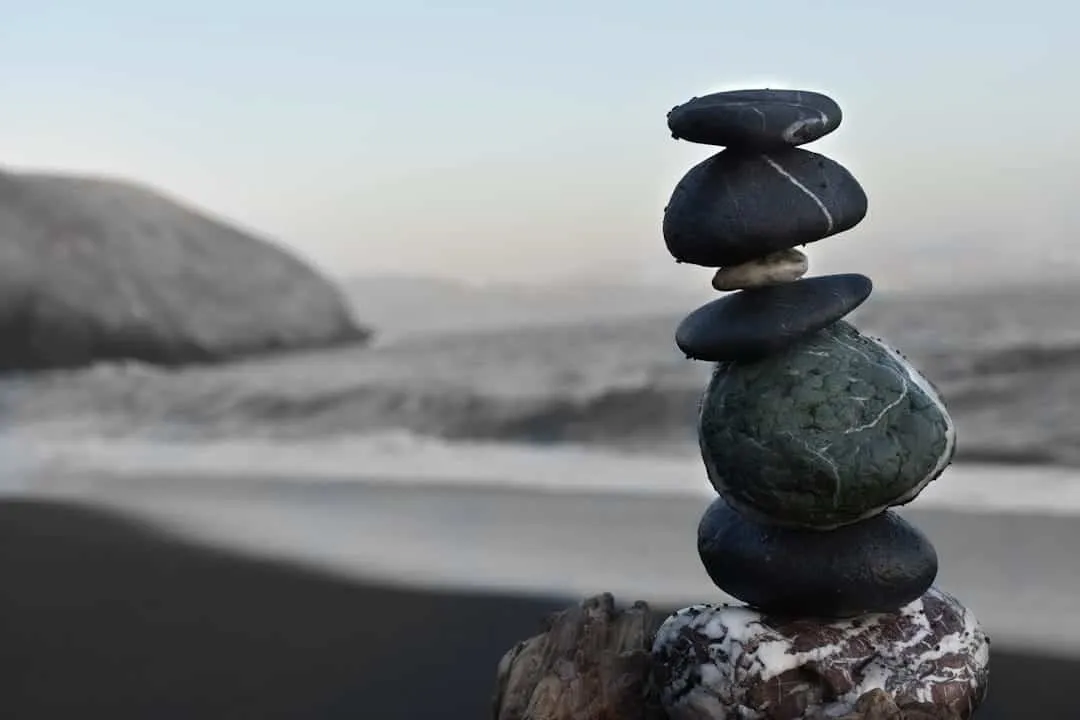 Photo Natures harmony