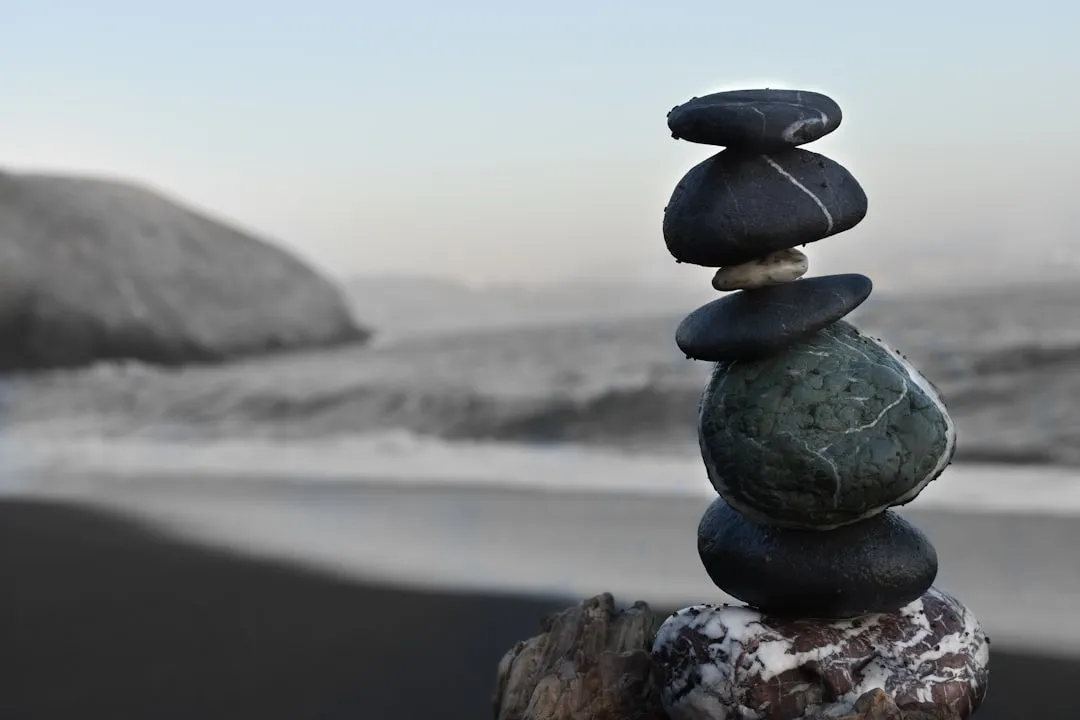 Photo Zen garden