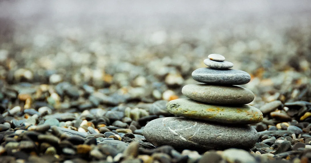 Photo Zen garden