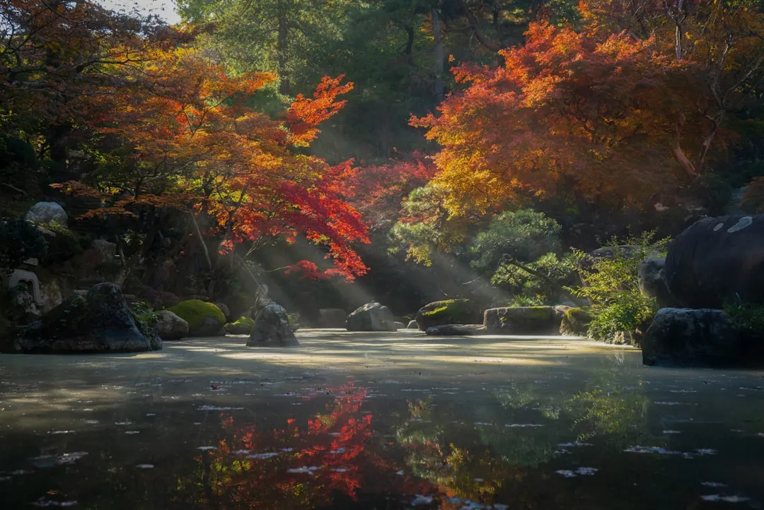 Photo Japanese garden